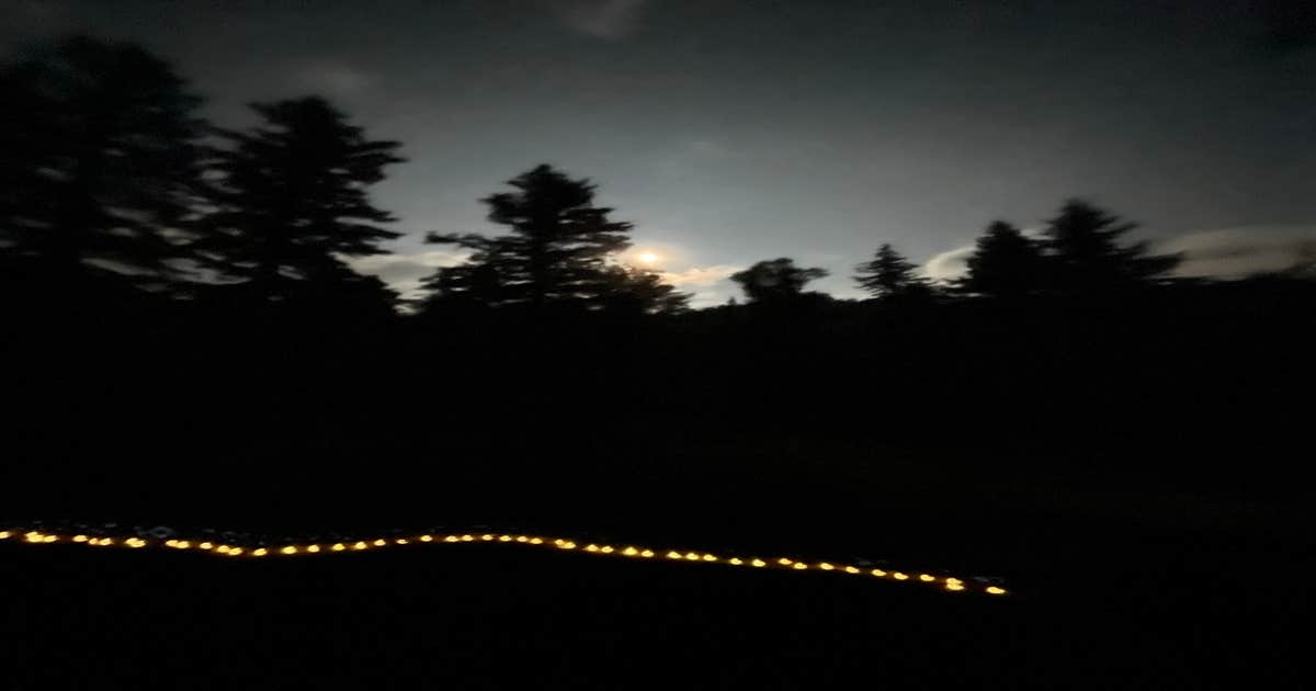 Junebug Campground - Main photo