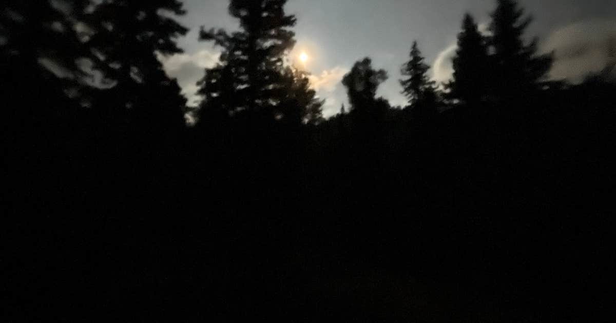 Junebug Campground