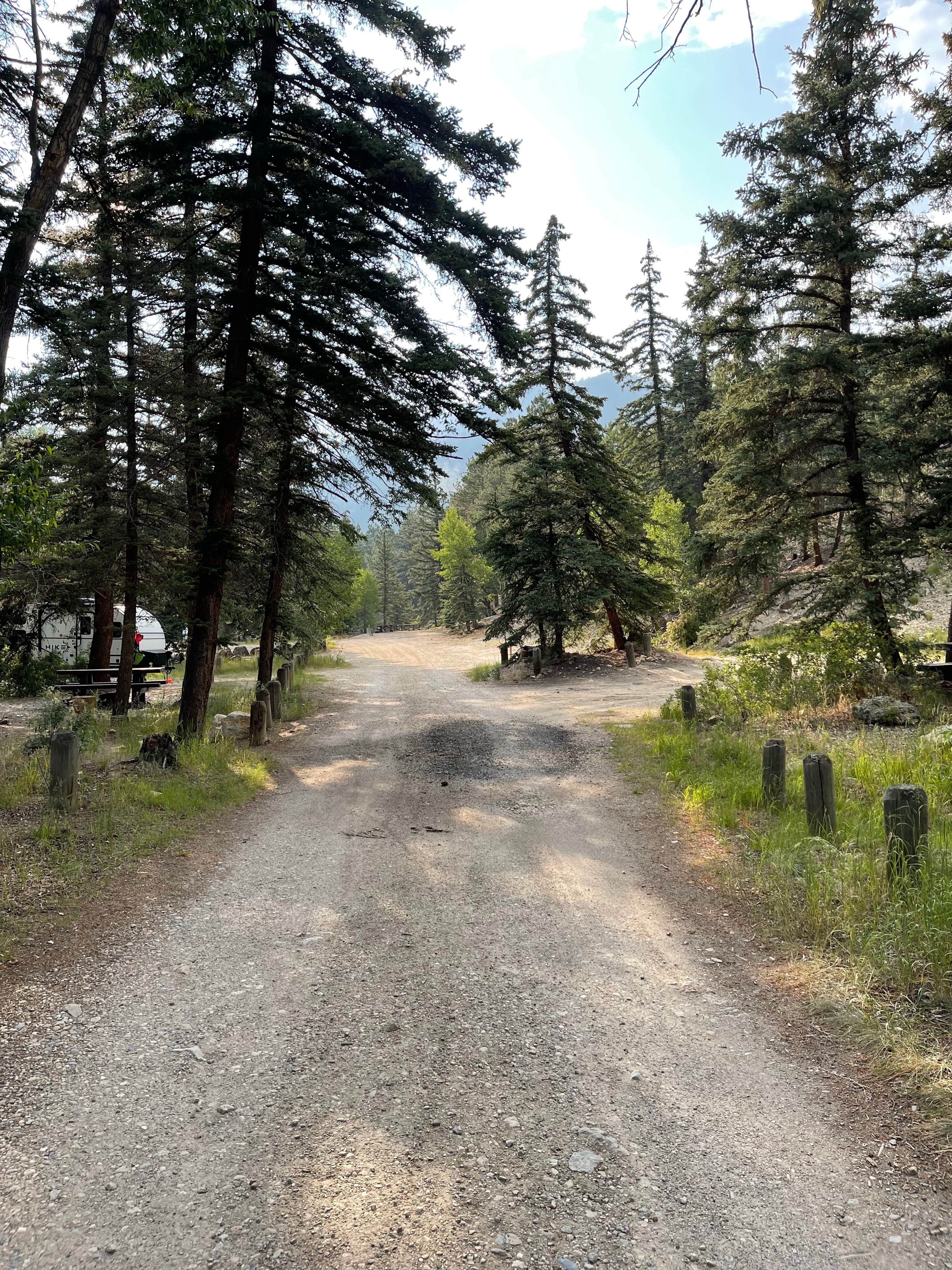 Junebug Campground photo 3
