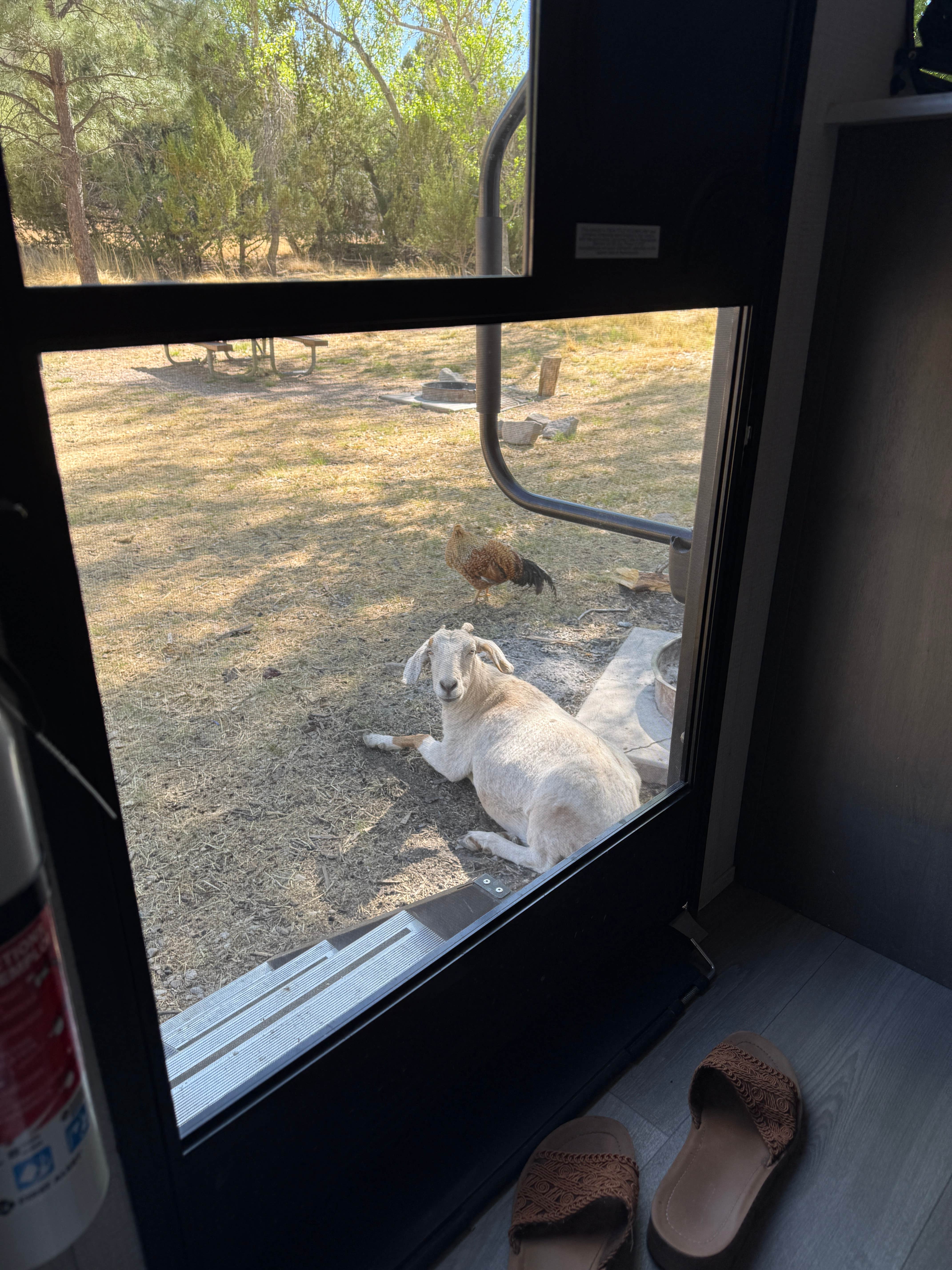 Camper-submitted photo at Kingston Campground near Deming, NM