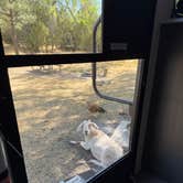 Review photo of Kingston Campground by Amziah Z., May 18, 2025