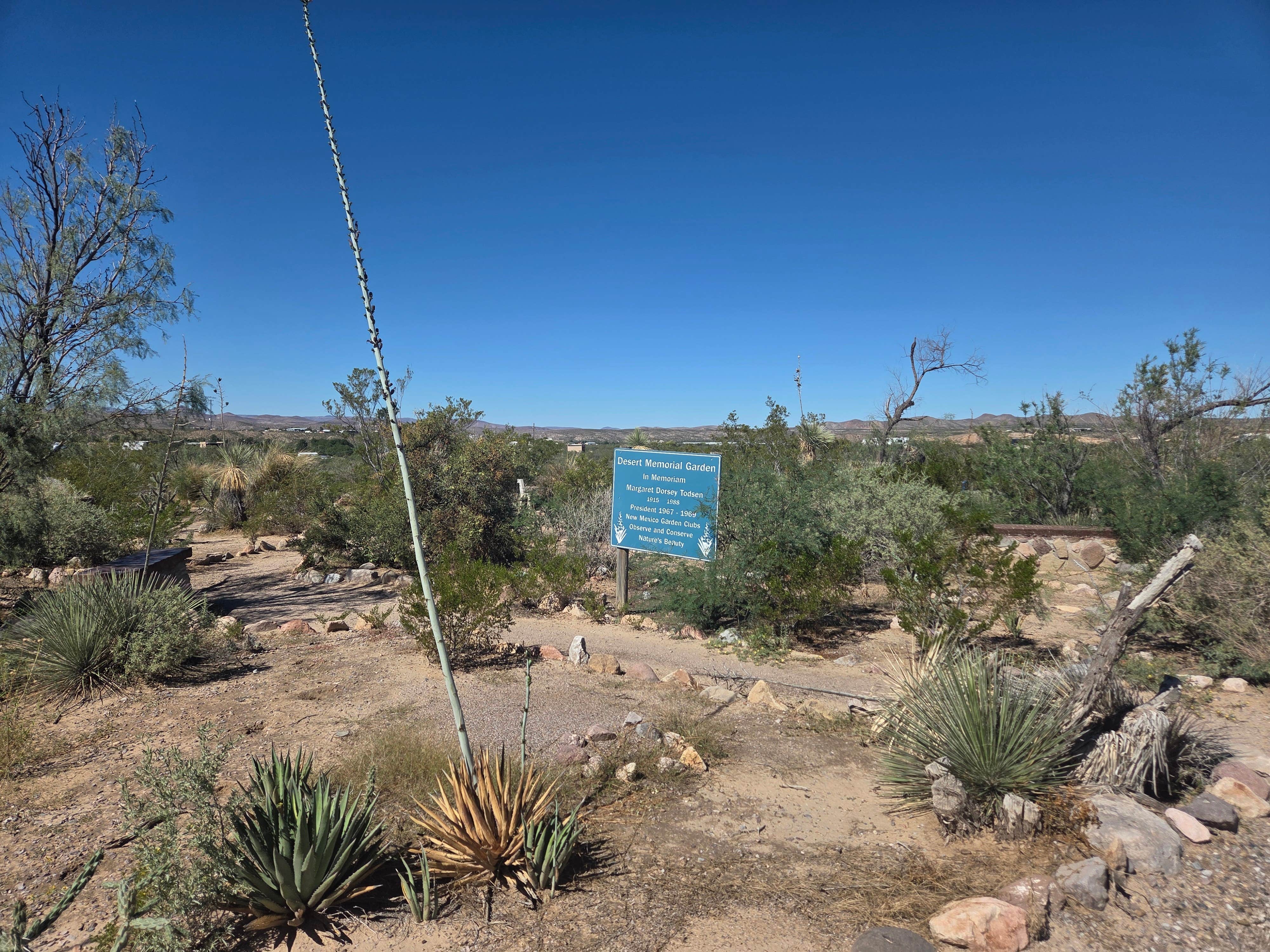 John R.'s photo of camping with pets at Leasburg Dam State Park Campground near Anthony, NM