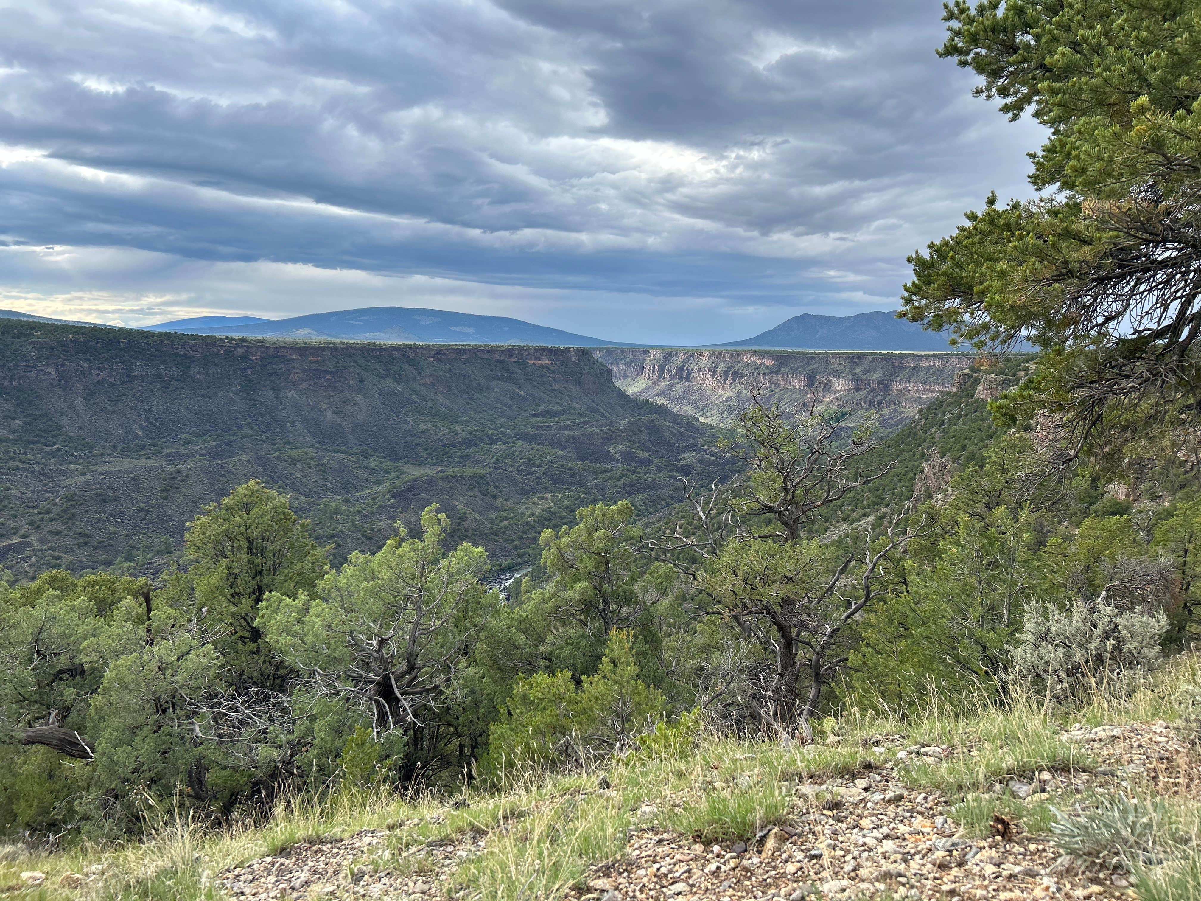 Camper submitted image from Montoso Campground - 5