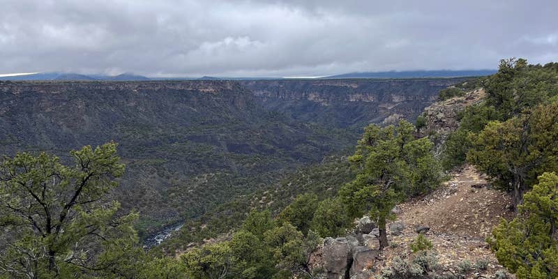 Camper submitted image from Montoso Campground