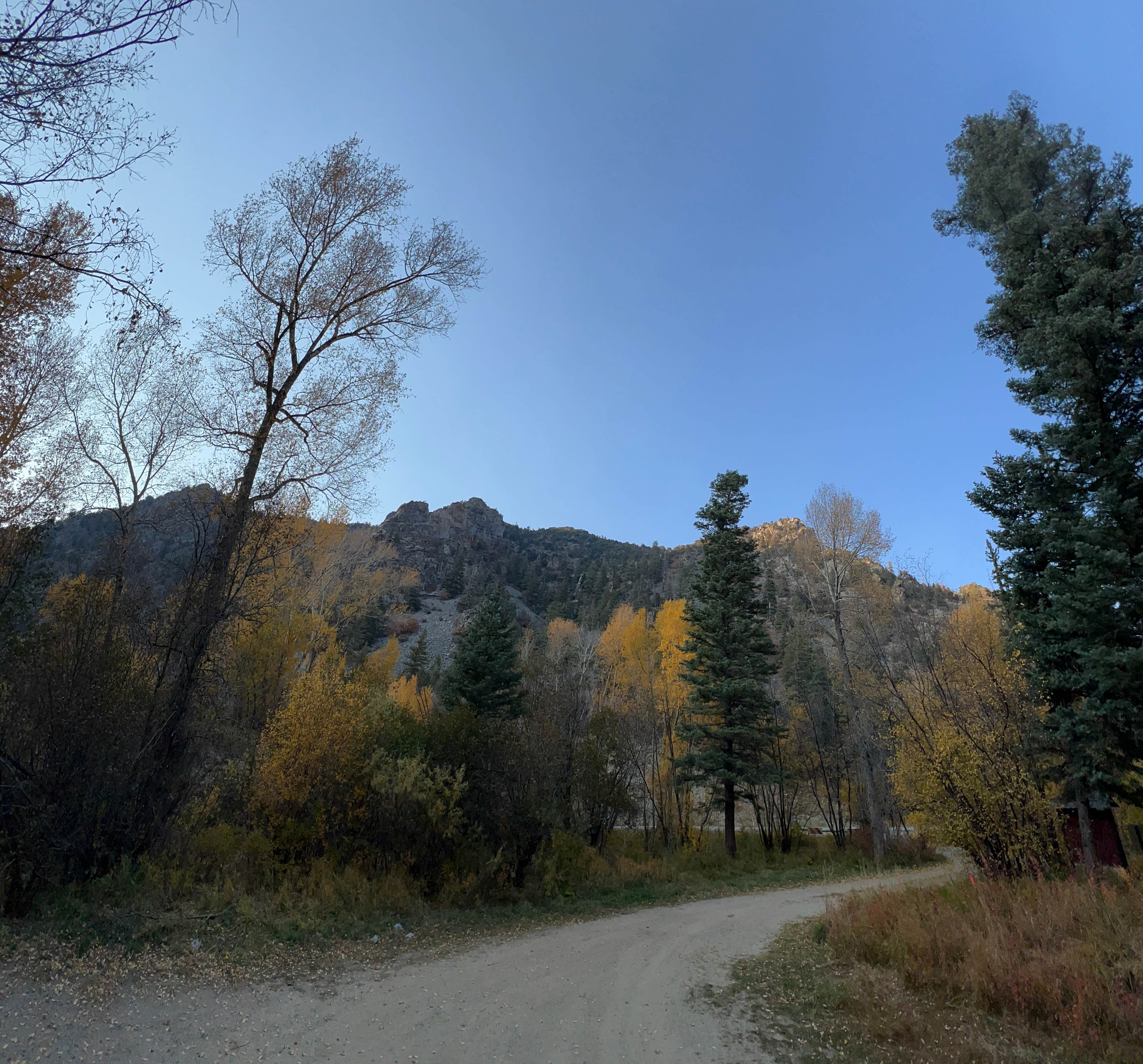 Camper-submitted photo at Lower Hondo Campground near Red River, NM
