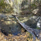 Review photo of Lower Hondo Campground by Jacob S., November 8, 2023