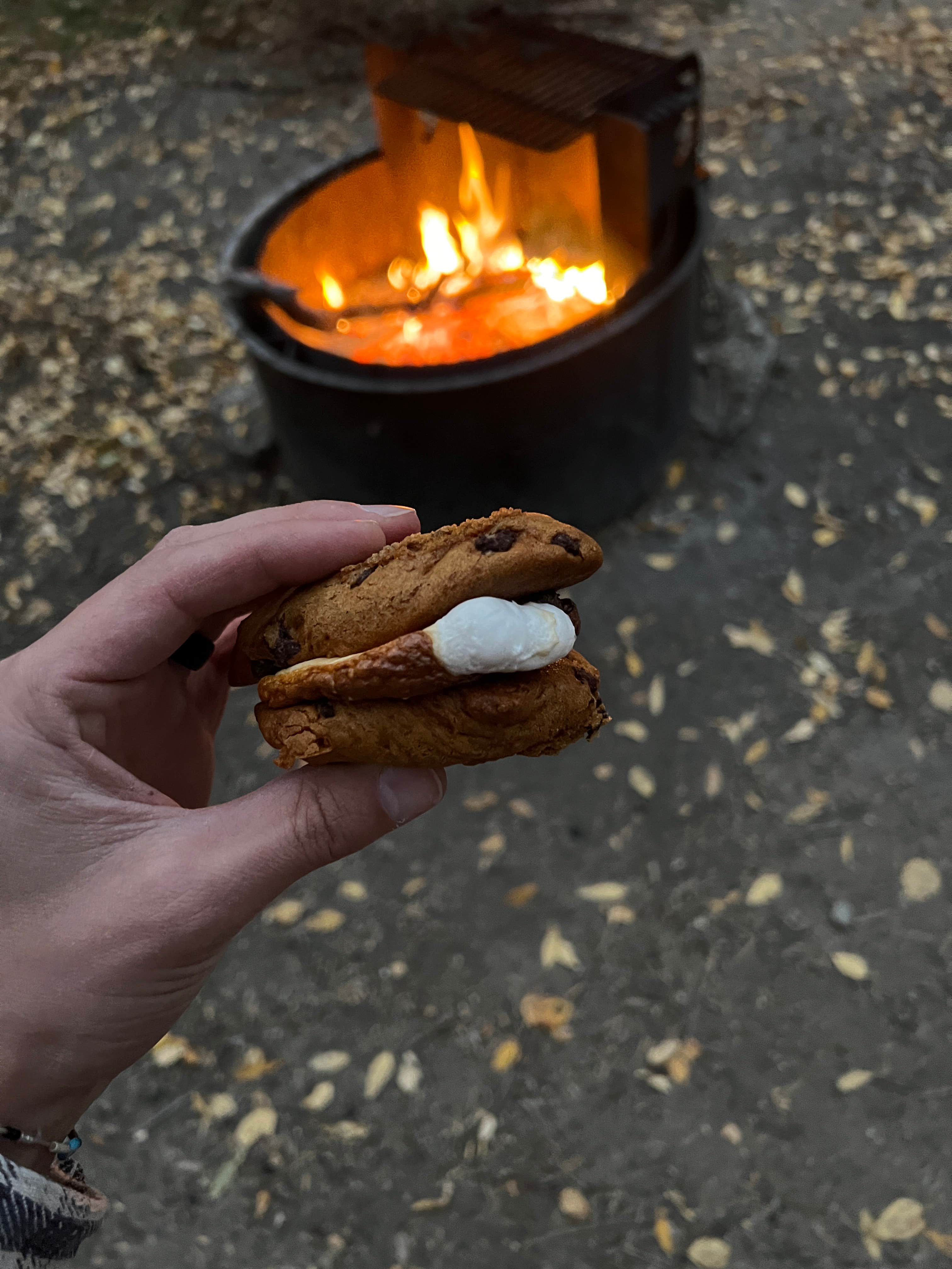 Camper-submitted photo at Lower Hondo Campground near Red River, NM