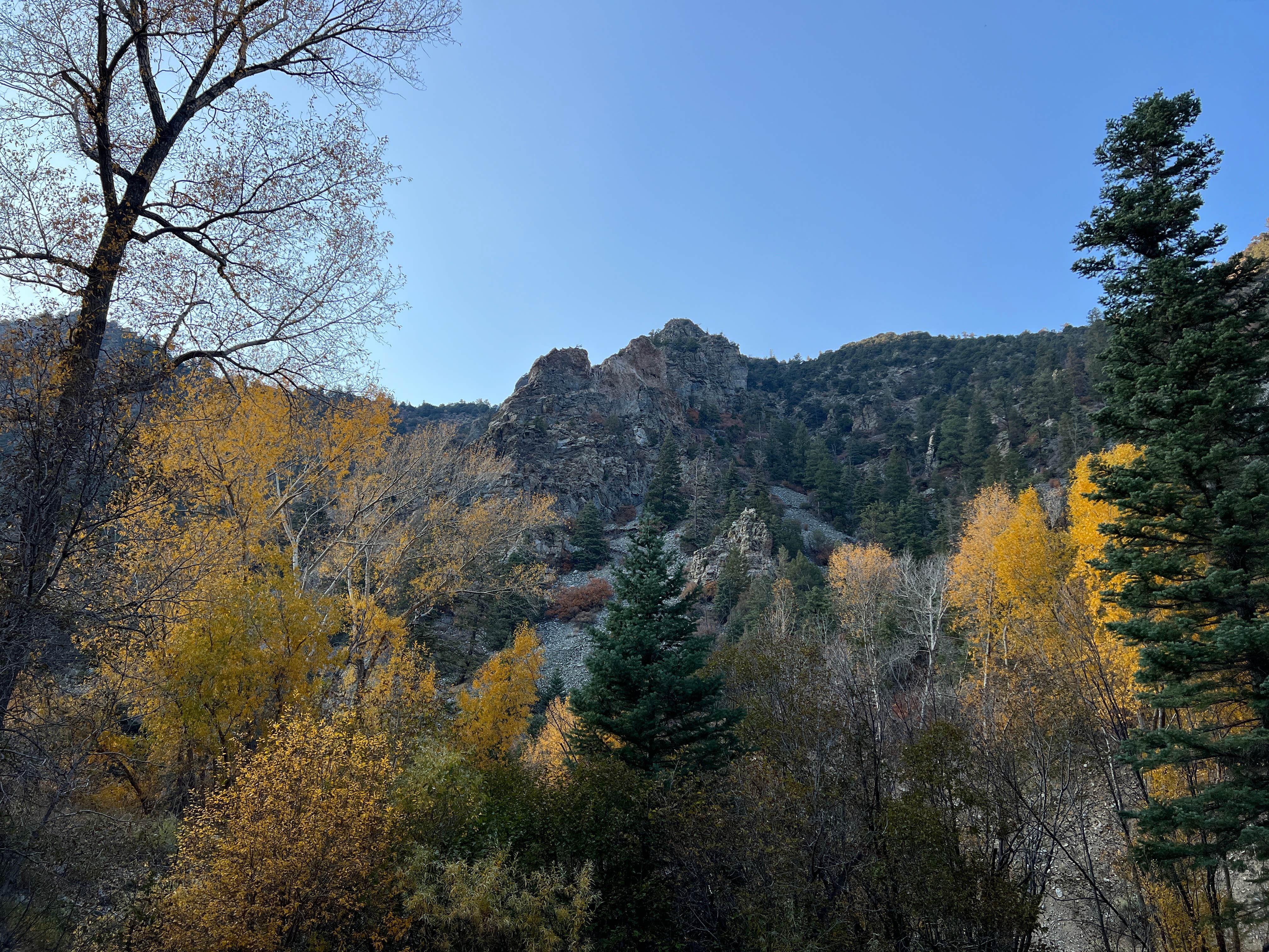 Escape to Enchantment: Uncovering the Magic of Lower Hondo Campground