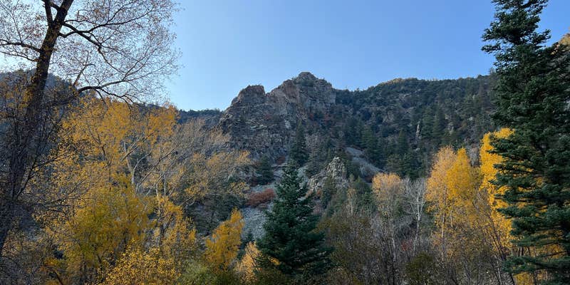 Camper submitted image from Lower Hondo Campground