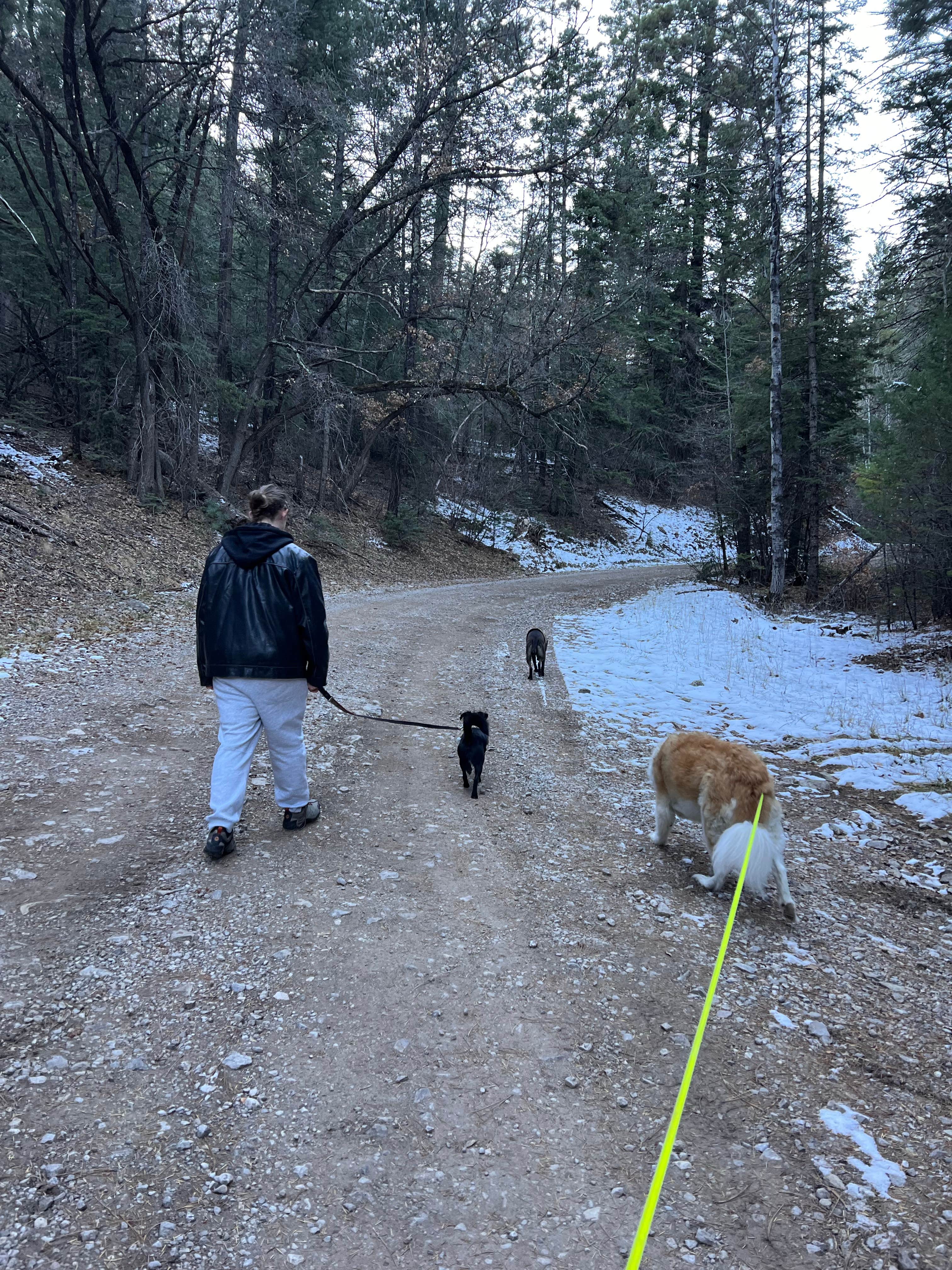 Morgan E.'s photo of camping with pets at Lower Karr Canyon Campground near Alamogordo, NM