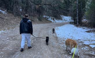 Morgan E.'s photo of camping with pets at Lower Karr Canyon Campground near Cloudcroft, NM