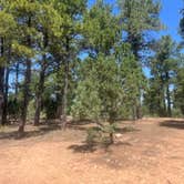 Review photo of Manzano Mountains State Park Campground by Julie G., August 6, 2024