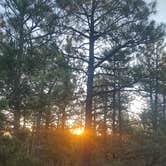 Review photo of Manzano Mountains State Park Campground by Andy M., July 20, 2026