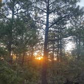 Review photo of Manzano Mountains State Park Campground by Andy M., July 20, 2026