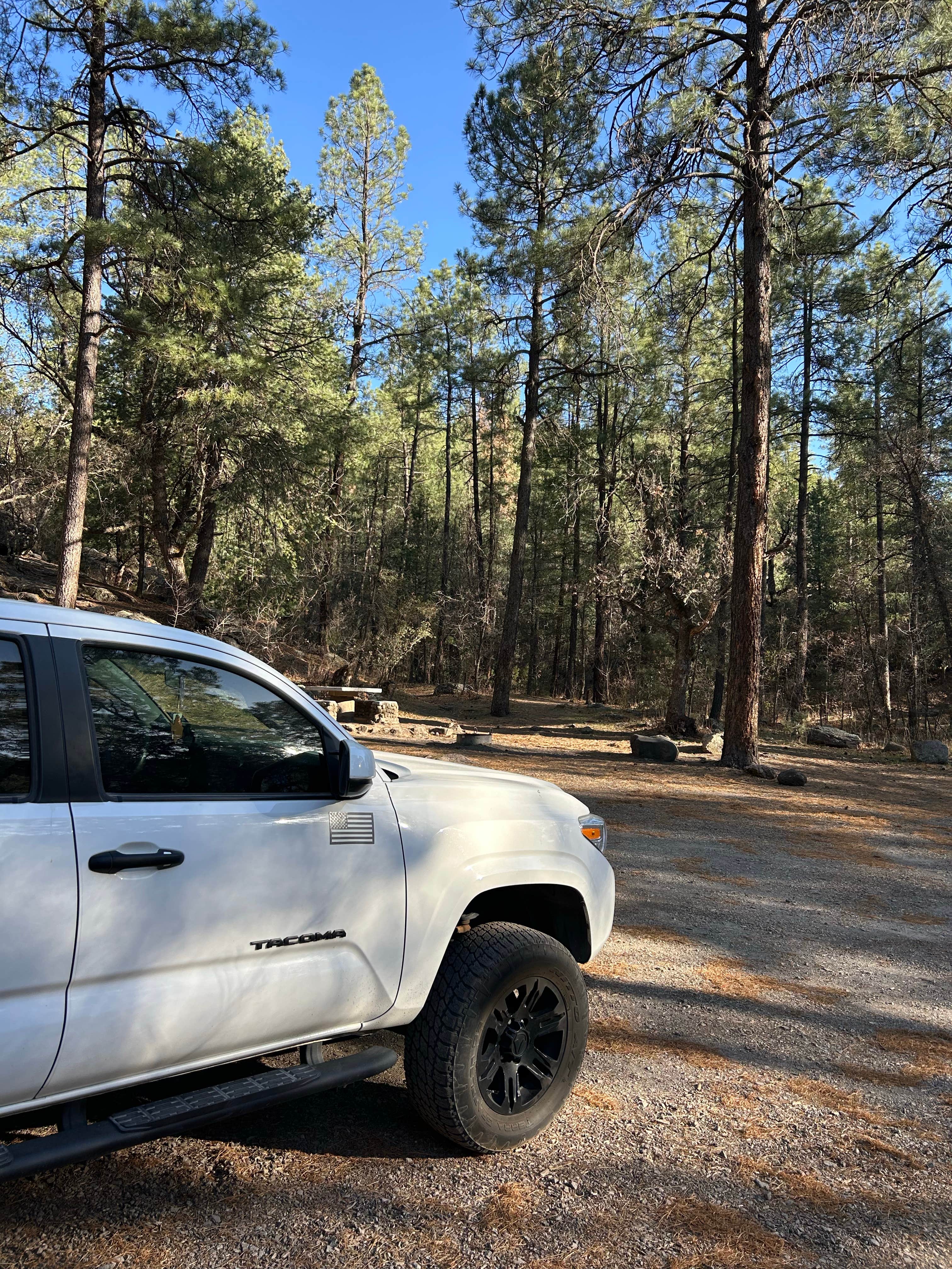 Camper-submitted photo at McMillan Campground near Arenas Valley, NM