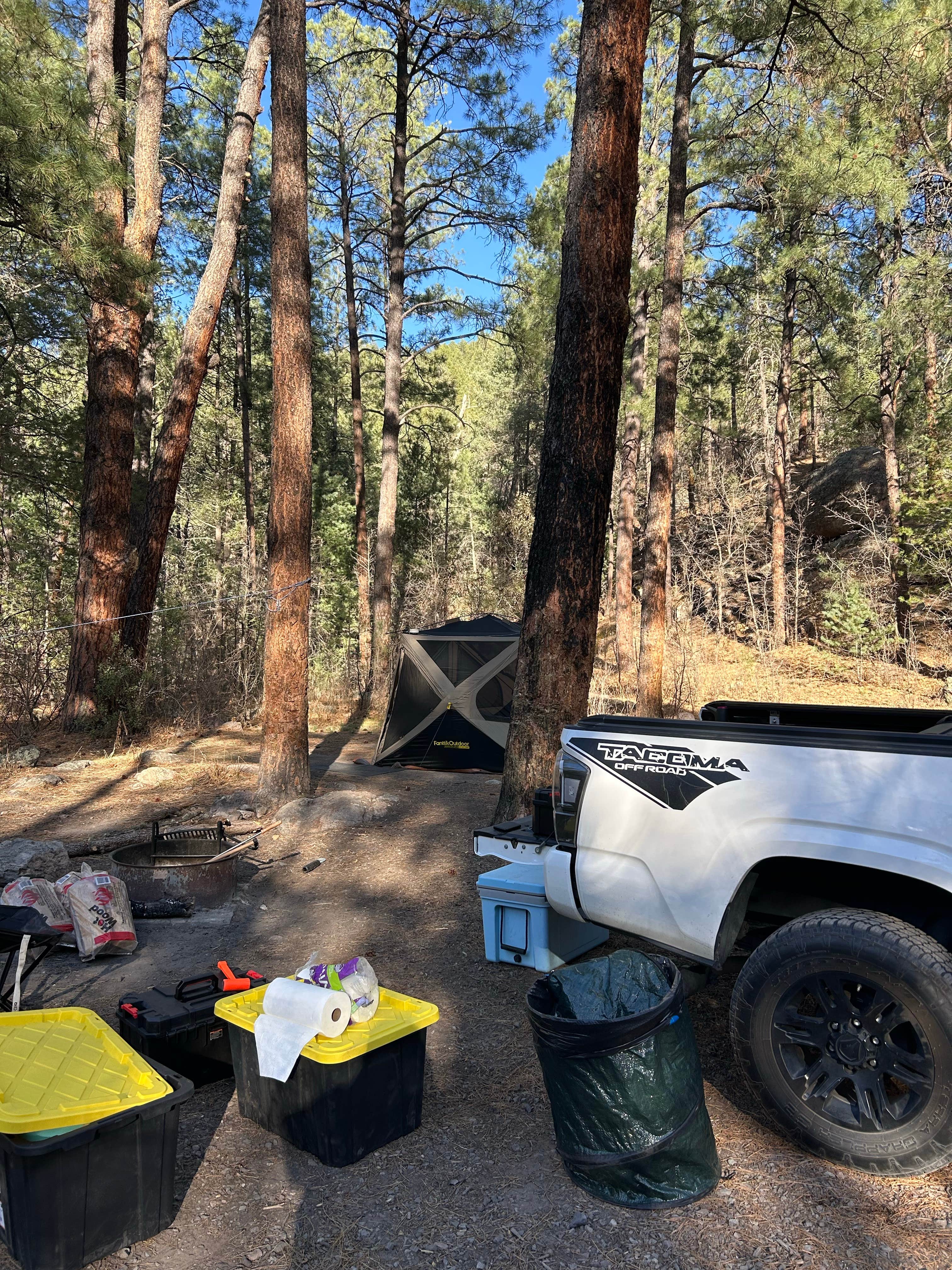 Camper-submitted photo at McMillan Campground near Arenas Valley, NM