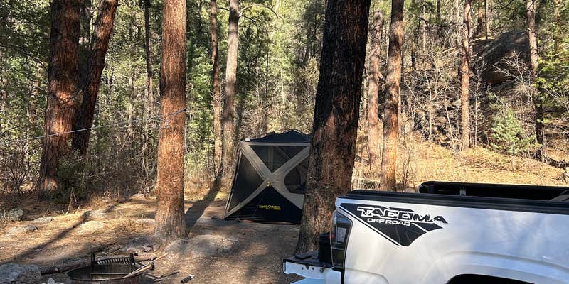 Camper submitted image from McMillan Campground