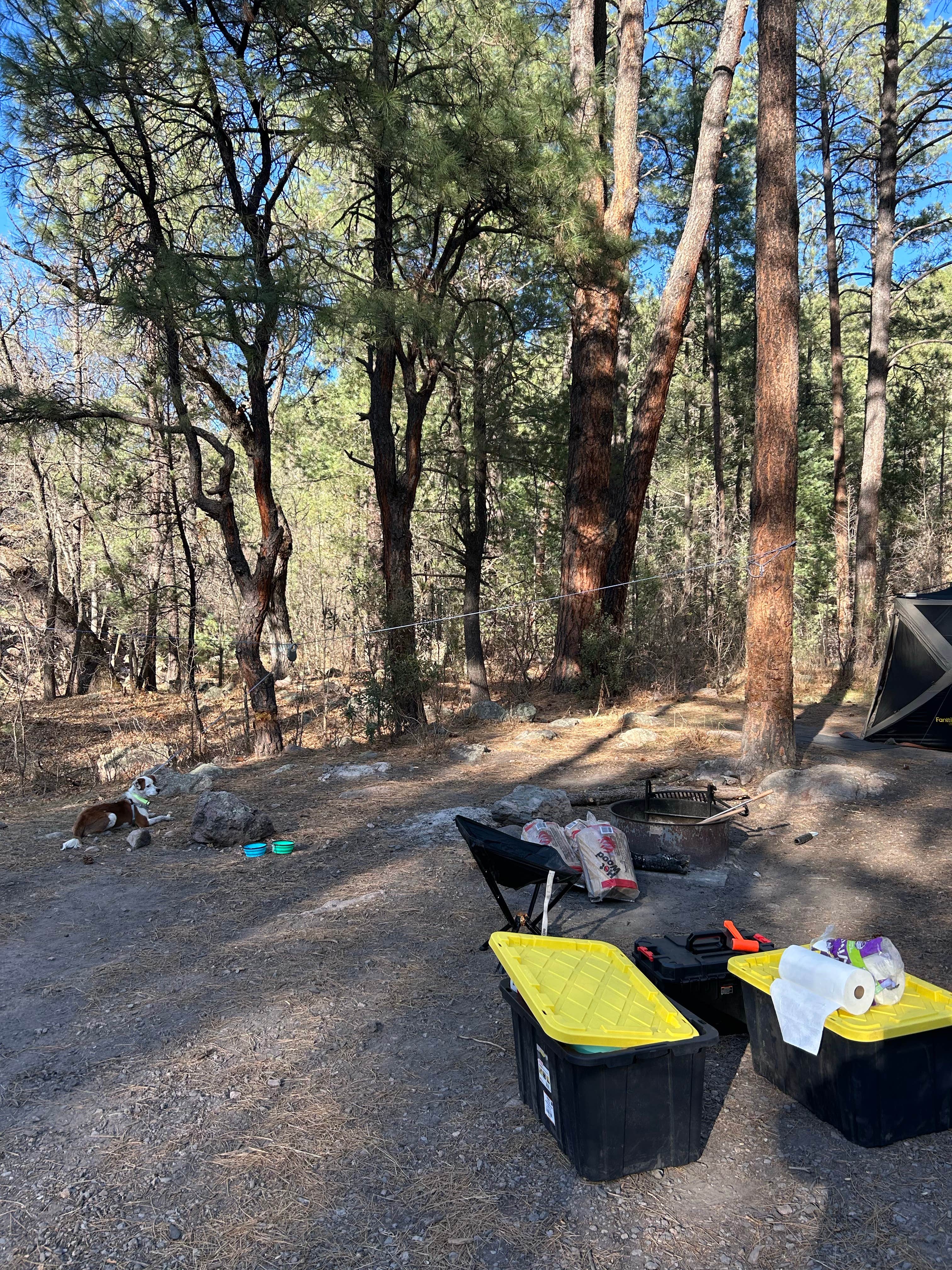 Camper-submitted photo at McMillan Campground near Arenas Valley, NM