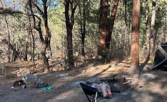 Elijah R C.'s photo of camping with pets at McMillan Campground near Mimbres, NM