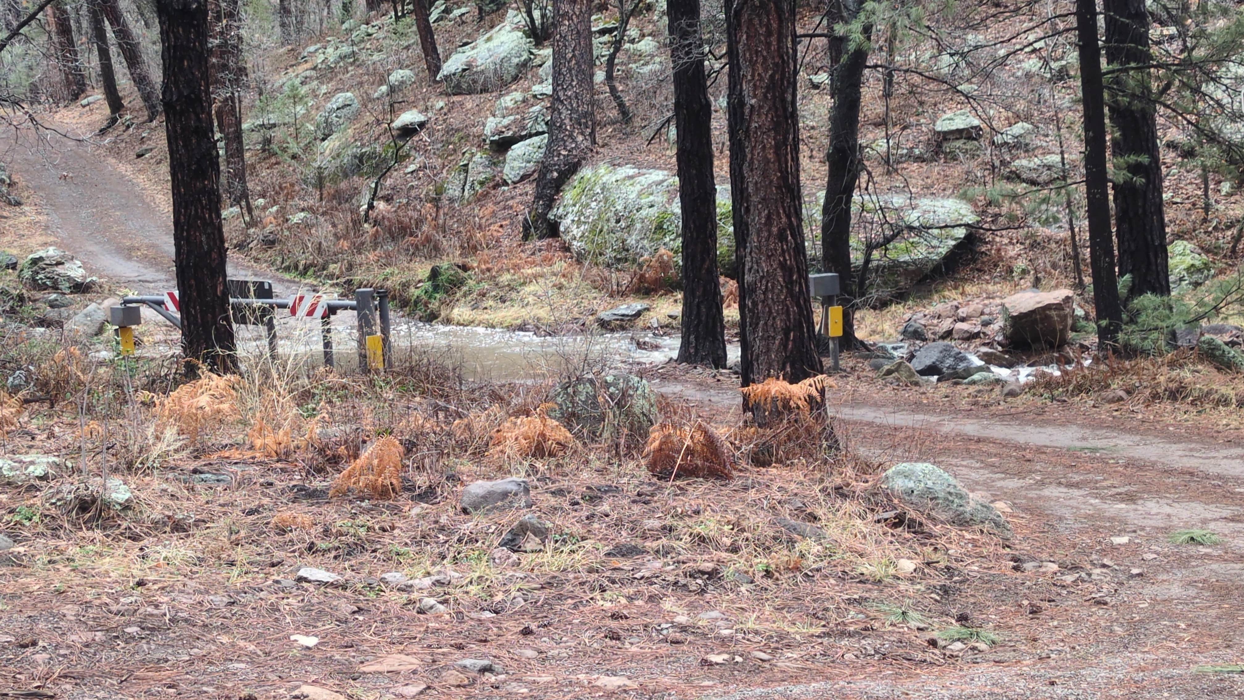 Camper-submitted photo at McMillan Campground near Hanover, NM