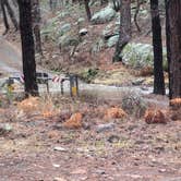 Review photo of McMillan Campground by Vidalia S., February 5, 2026