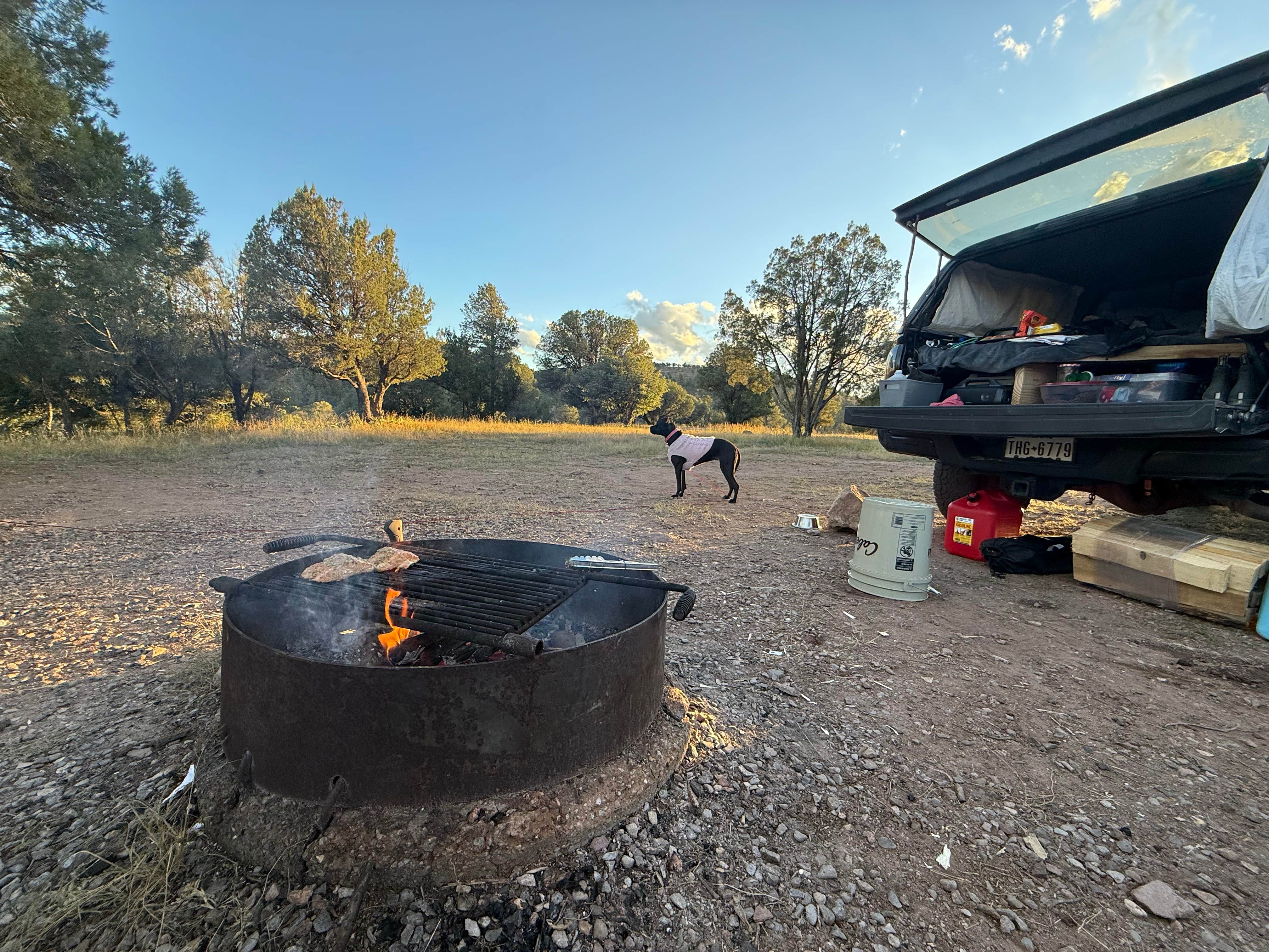 Noah B.'s photo of camping with pets at Mesa Campground near Hanover, NM