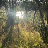 Review photo of Mesa Campground by Alisa P., October 28, 2025