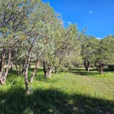 Review photo of Mesa Campground by Sherry M., October 11, 2025
