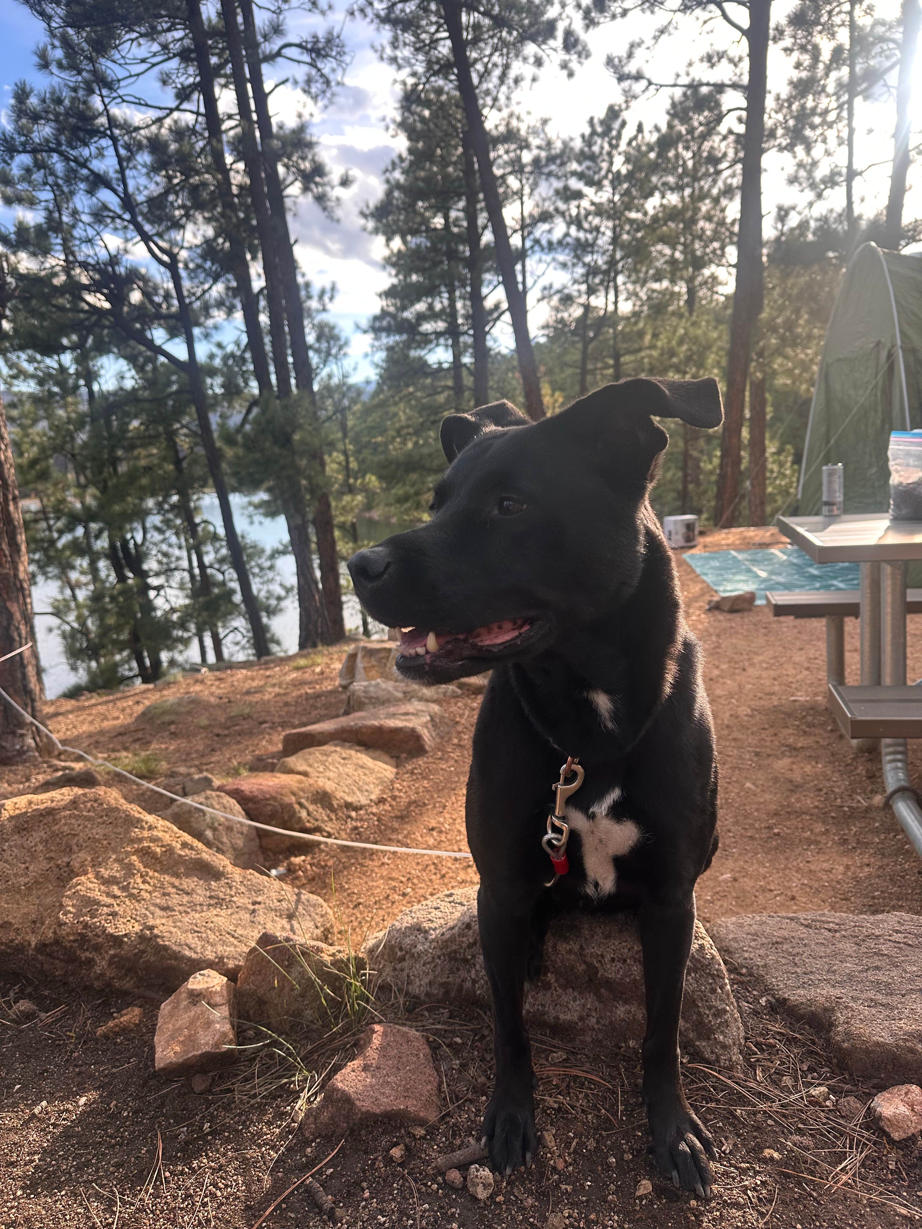 Camper-submitted photo at Morphy Lake State Park Campground near Las Vegas, NM