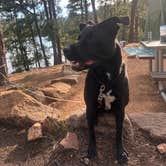 Review photo of Morphy Lake State Park Campground by Colbey M., August 31, 2025
