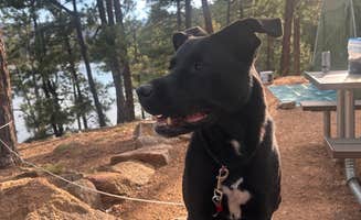 Colbey M.'s photo of camping with pets at Morphy Lake State Park Campground near Tererro, NM