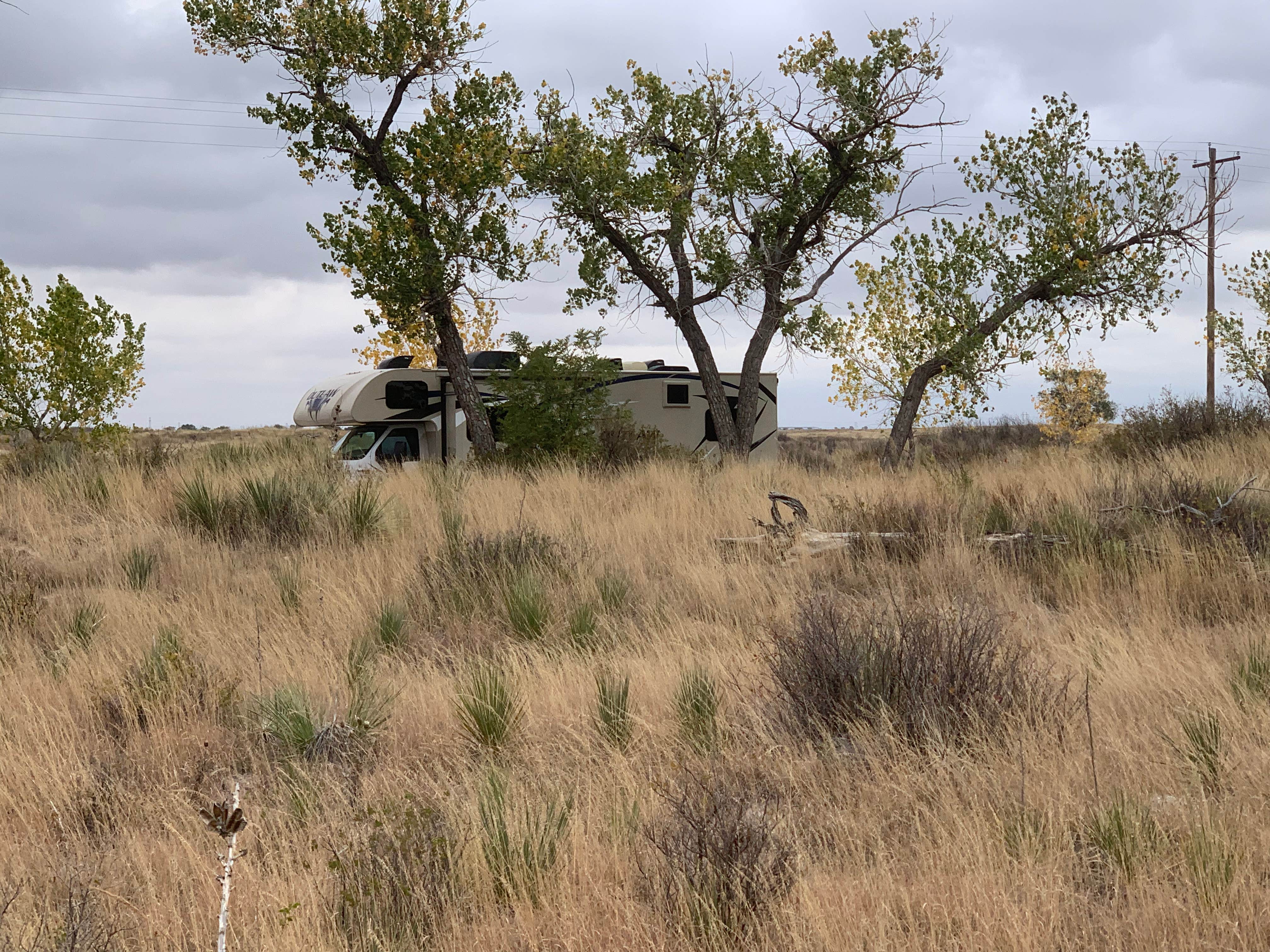 Camper-submitted photo at Oasis State Park Campground near Clovis, NM