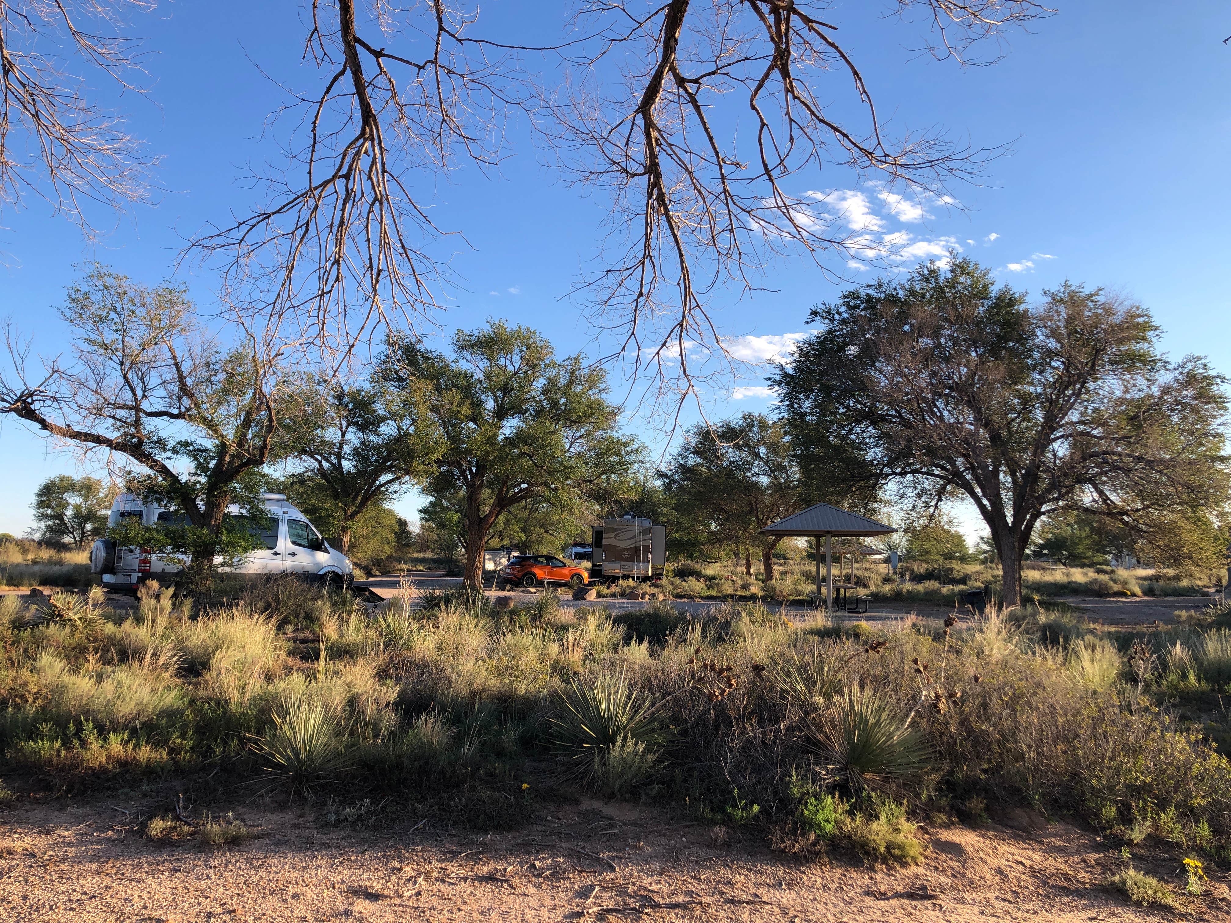 Camper-submitted photo at Oasis State Park Campground near Clovis, NM