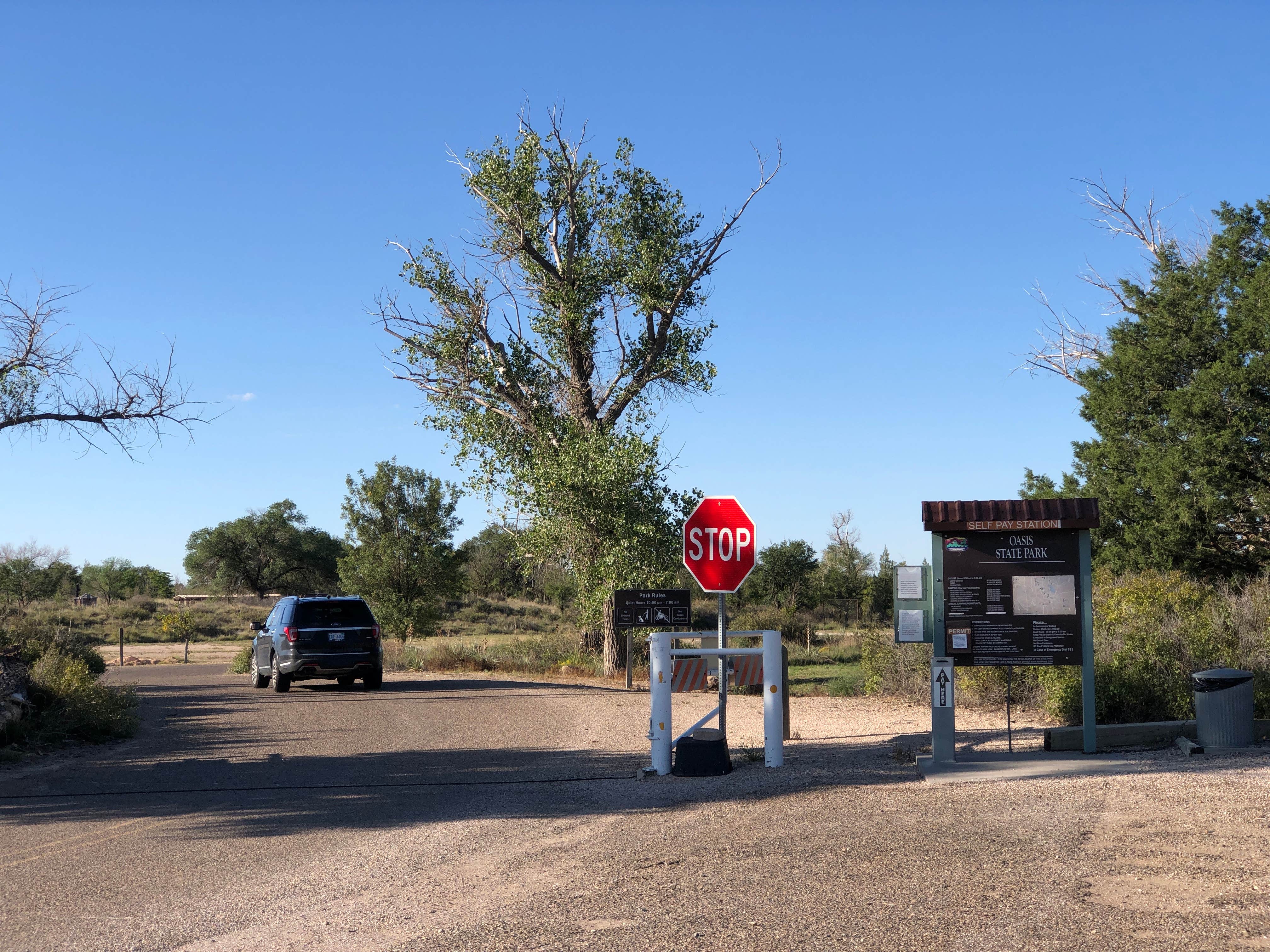 Camper submitted image from Oasis State Park Campground - 5