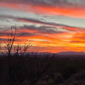 Review photo of Oliver Lee Memorial State Park Campground by Shawn S., May 1, 2026