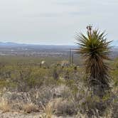 Review photo of Oliver Lee Memorial State Park — Oliver Lee State Park by James P., March 12, 2024