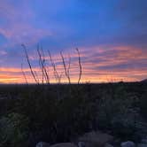 Review photo of Oliver Lee Memorial State Park Campground by Andre L., April 24, 2026