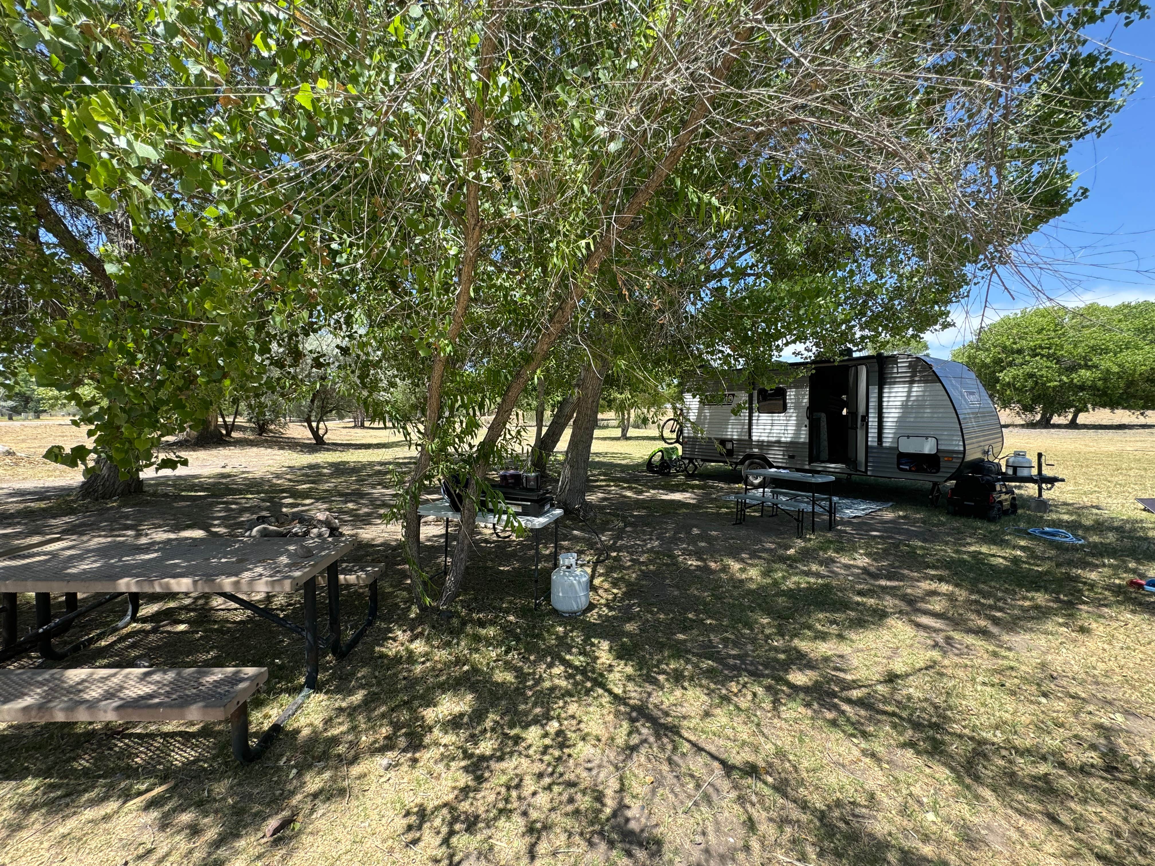 Camper-submitted photo at Percha Dam State Park Campground near Caballo, NM