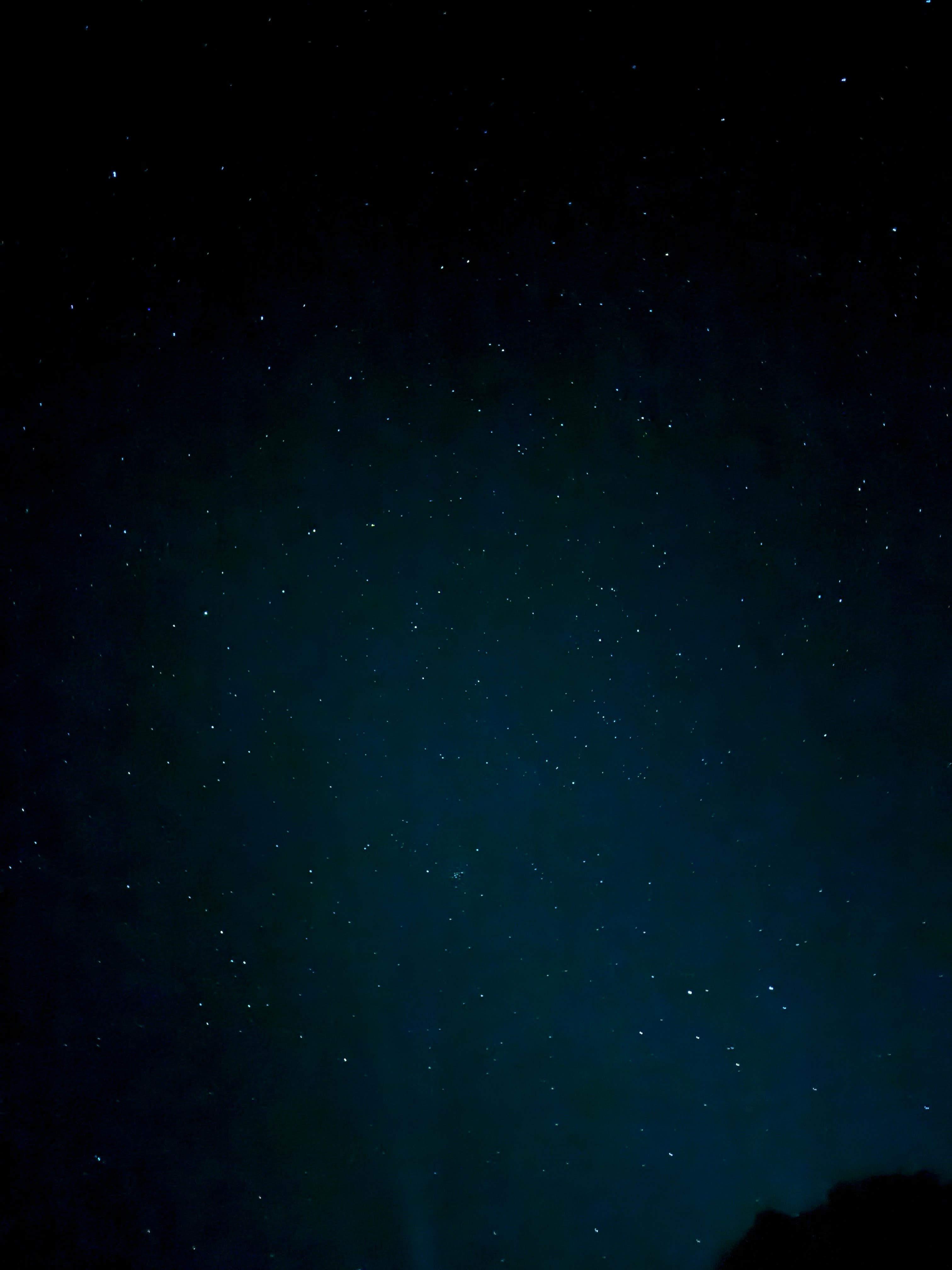 Camper-submitted photo at Percha Dam State Park Campground near Caballo, NM