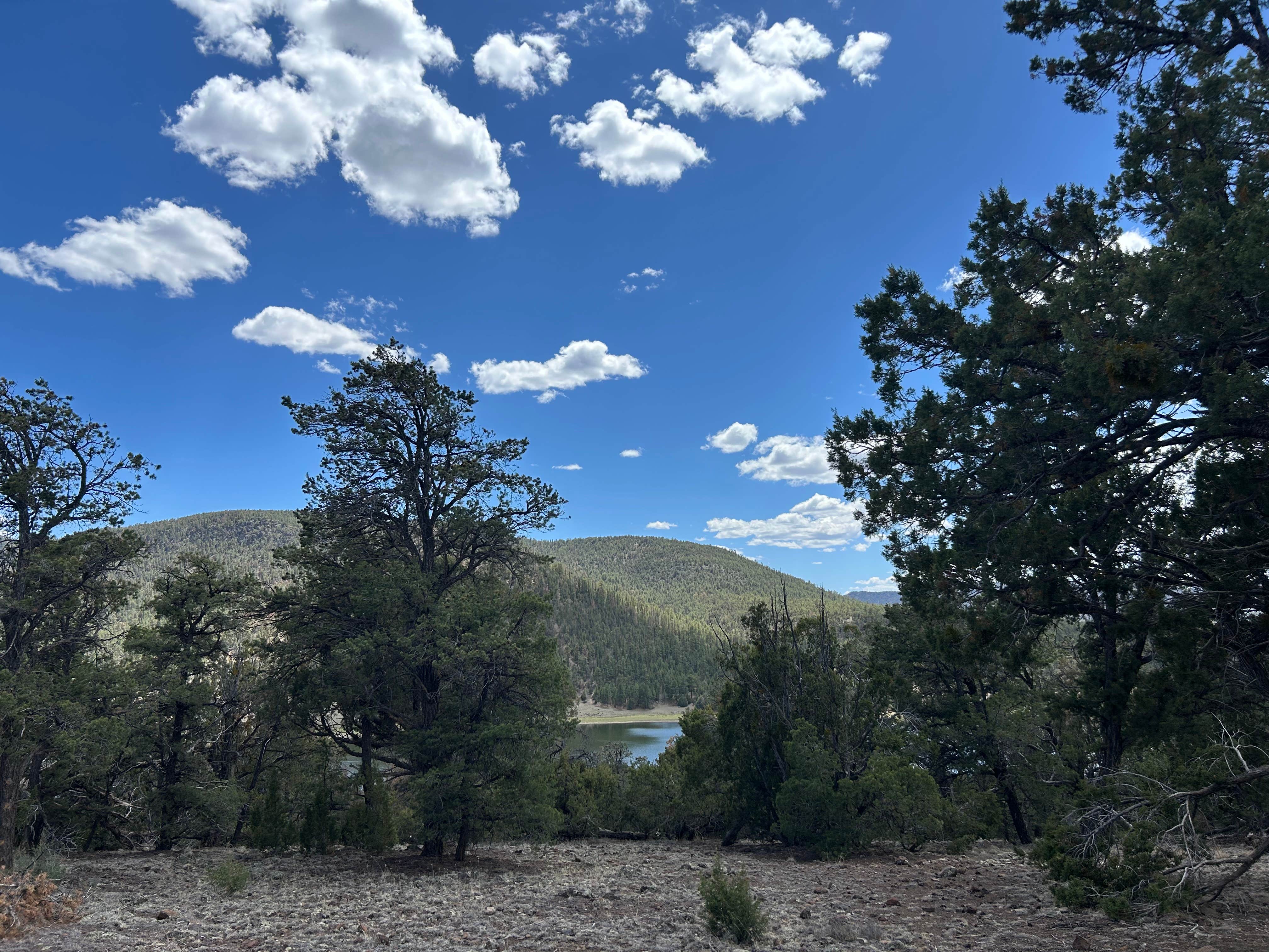 Camping near El Caso I-IV Campground: Piñon Campground, Quemado, New Mexico