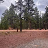 Review photo of Quaking Aspen Campground by Zoey T., August 15, 2025