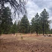 Review photo of Quaking Aspen Campground by Zoey T., August 15, 2025