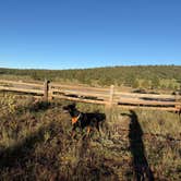 Review photo of Quaking Aspen Campground by Angie F., October 5, 2026