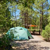 Review photo of Quaking Aspen Campground by Jennifer Y., July 21, 2024