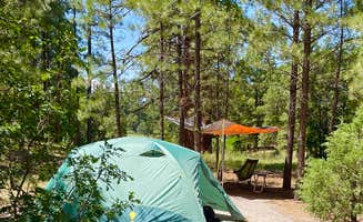 Jennifer Y.'s photo at Quaking Aspen Campground near Bluewater Village, NM