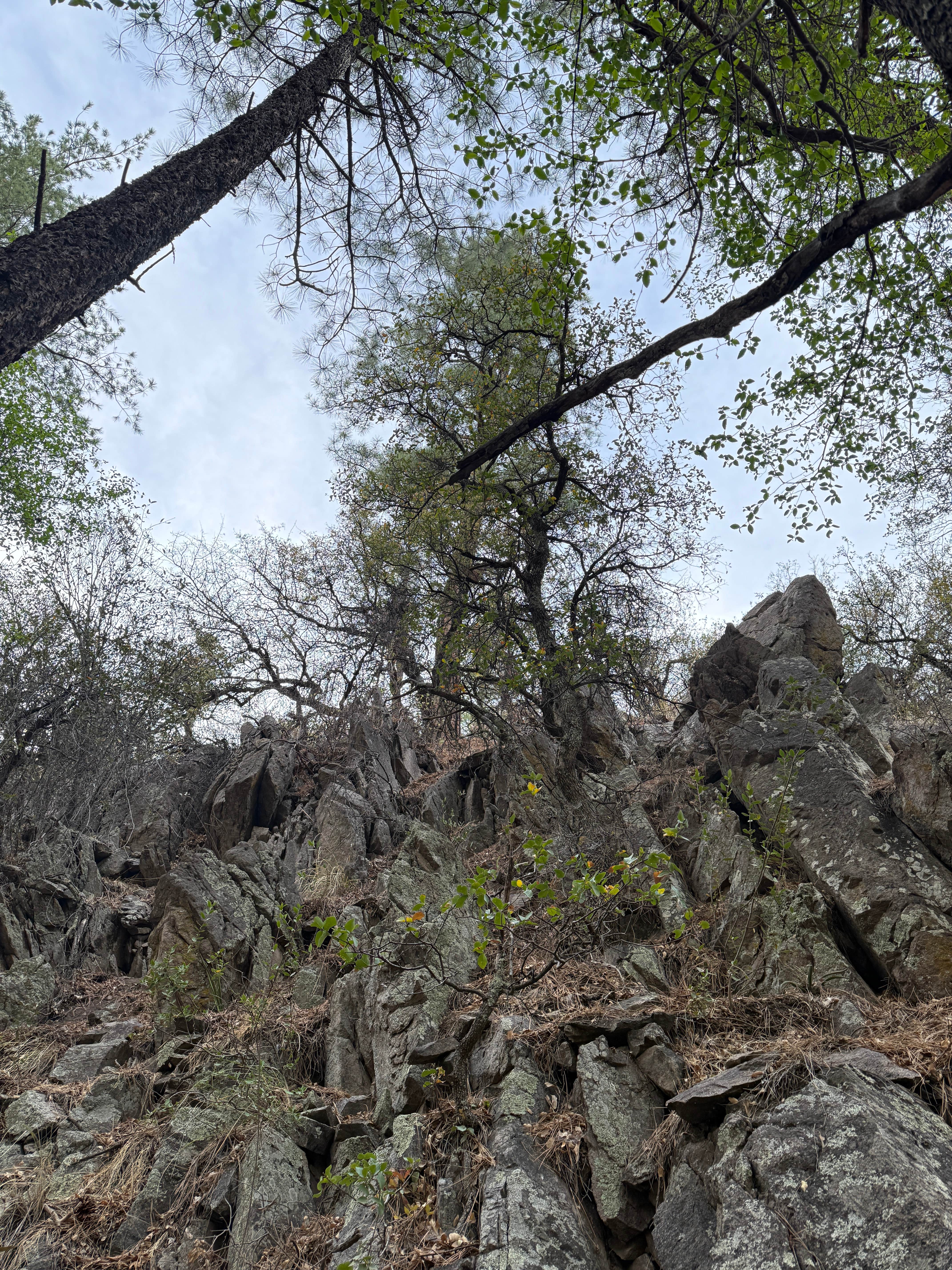 Camper-submitted photo at Railroad Canyon Campground near Deming, NM