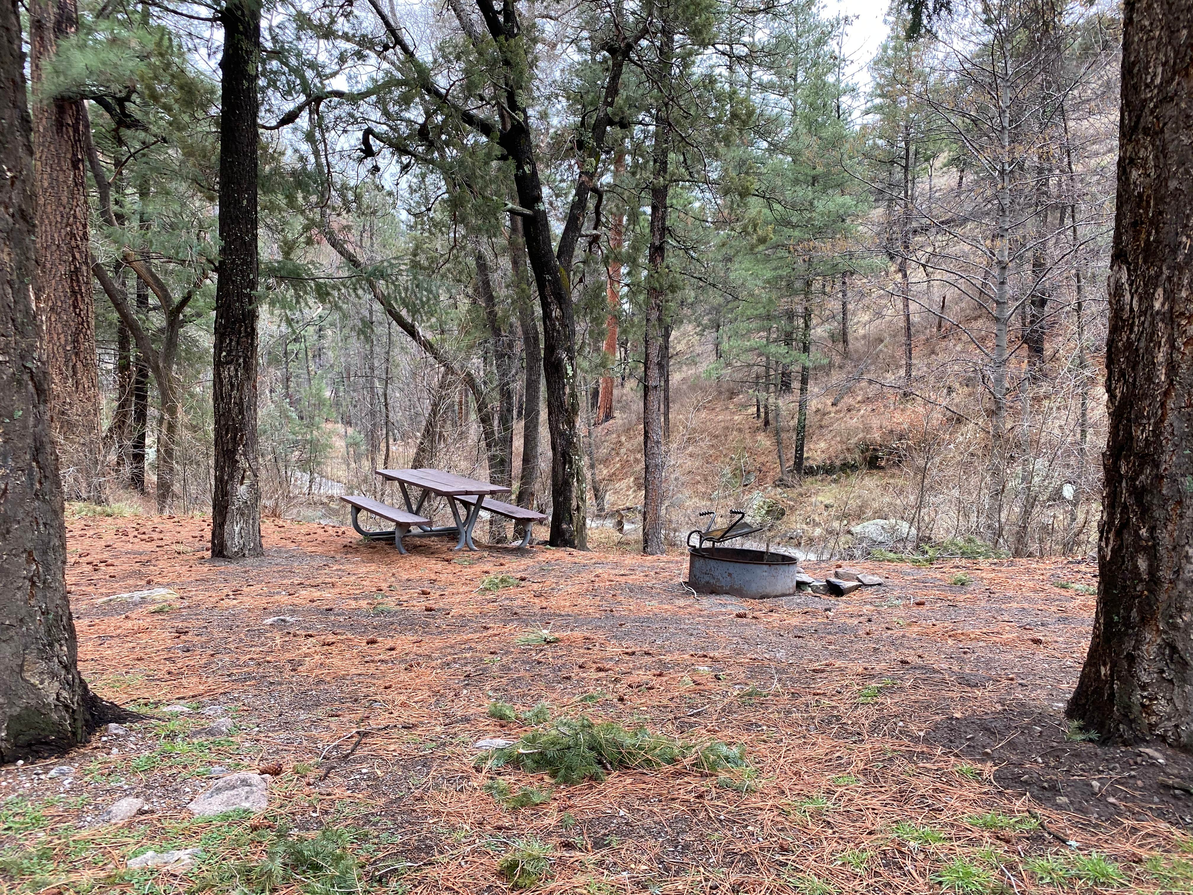 Camper-submitted photo at Railroad Canyon Campground near Deming, NM