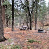 Review photo of Railroad Canyon Campground by Beth G., September 19, 2023