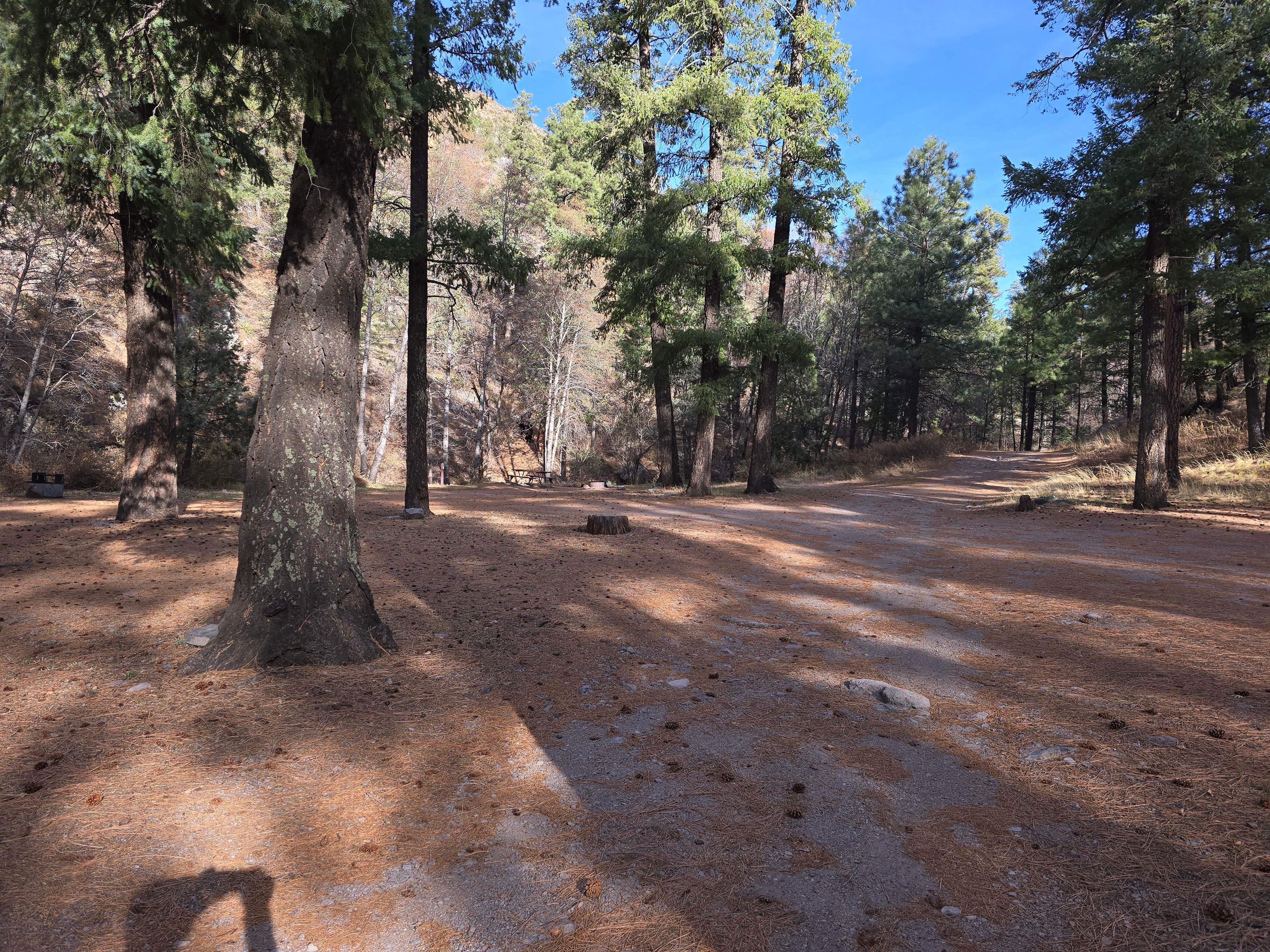 Camper-submitted photo at Railroad Canyon Campground near Deming, NM