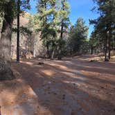 Review photo of Railroad Canyon Campground by Teresa T., November 29, 2024